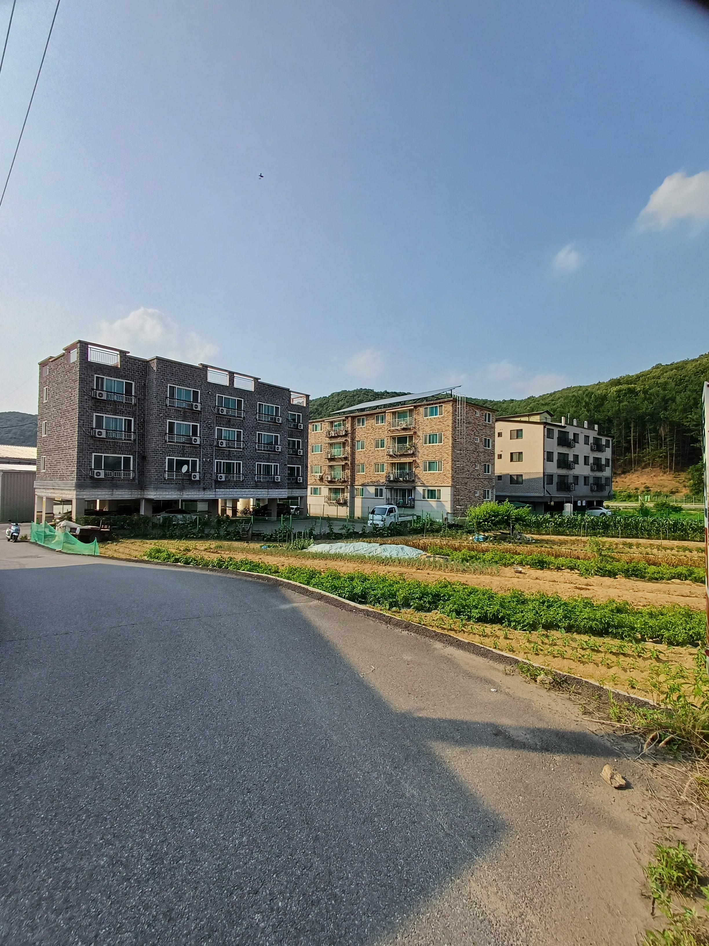 김상기 호스트