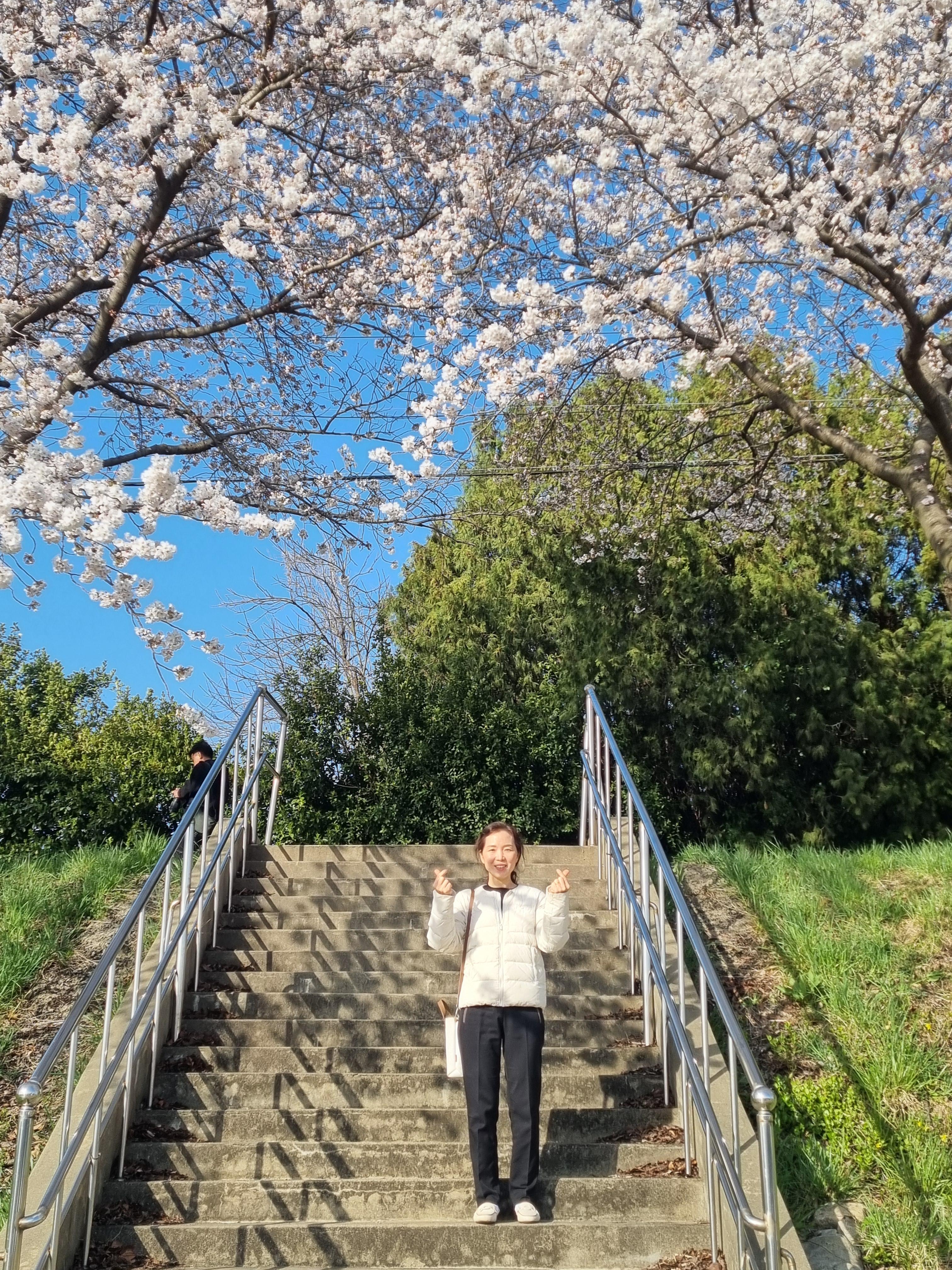 이가영 호스트