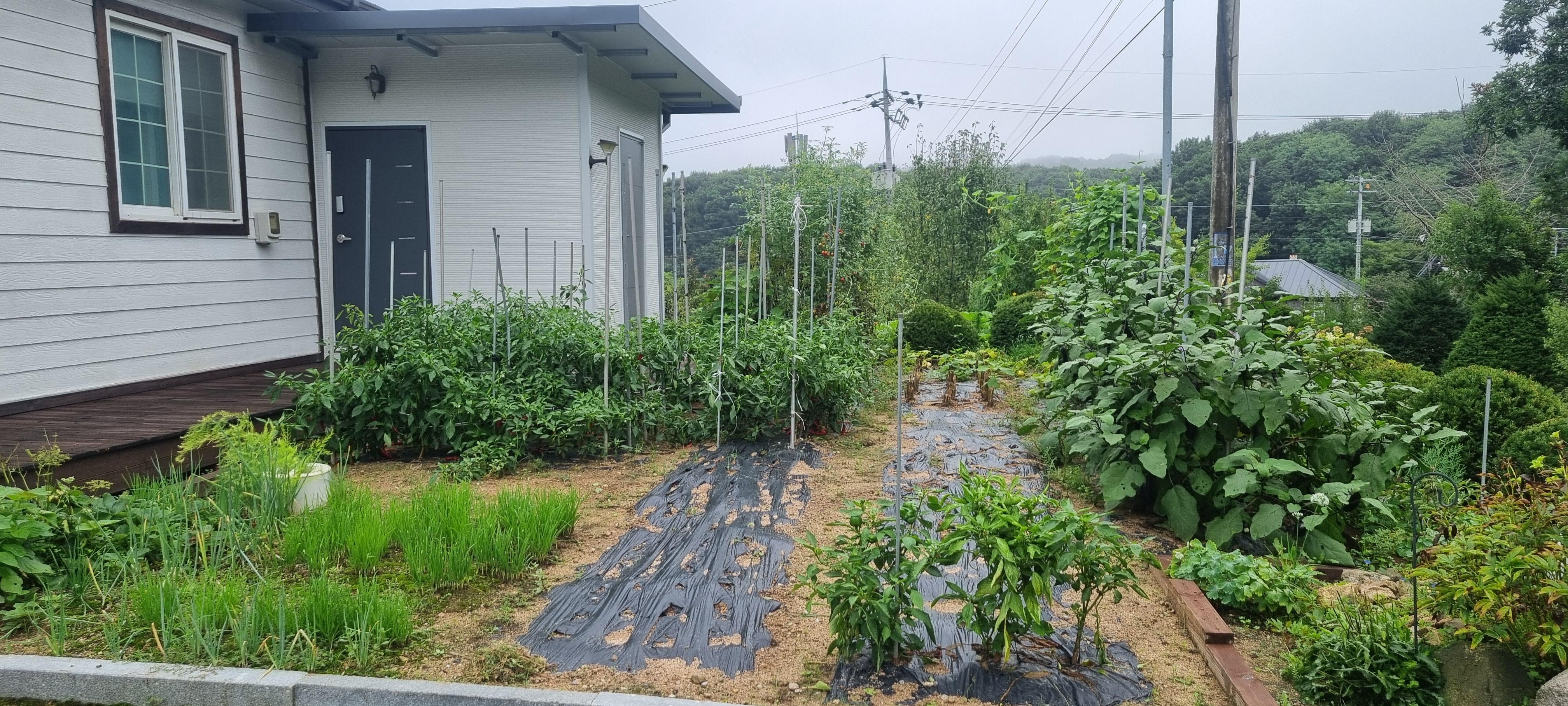 동산별채 사진 3