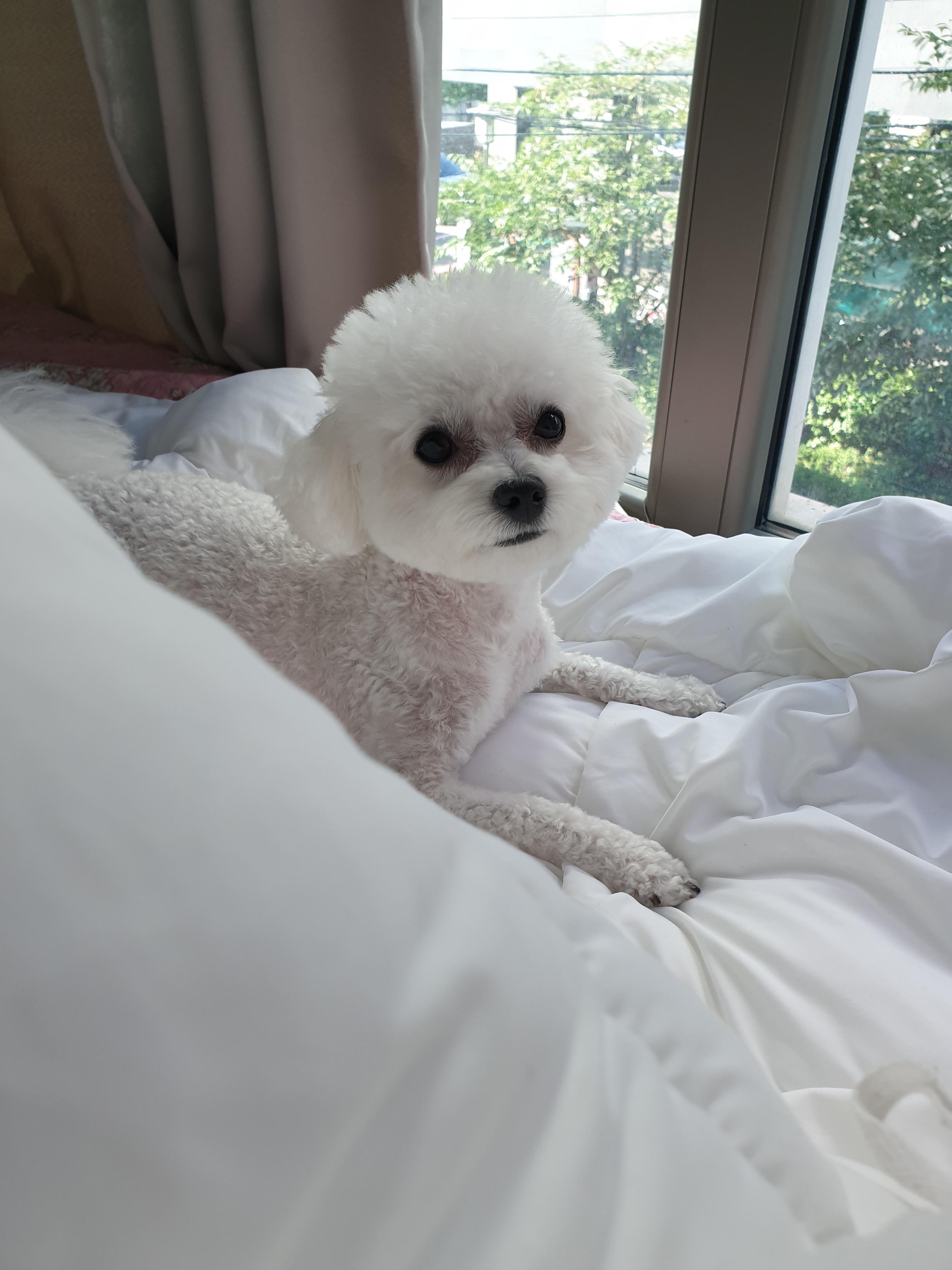 블랑블랑 호스트