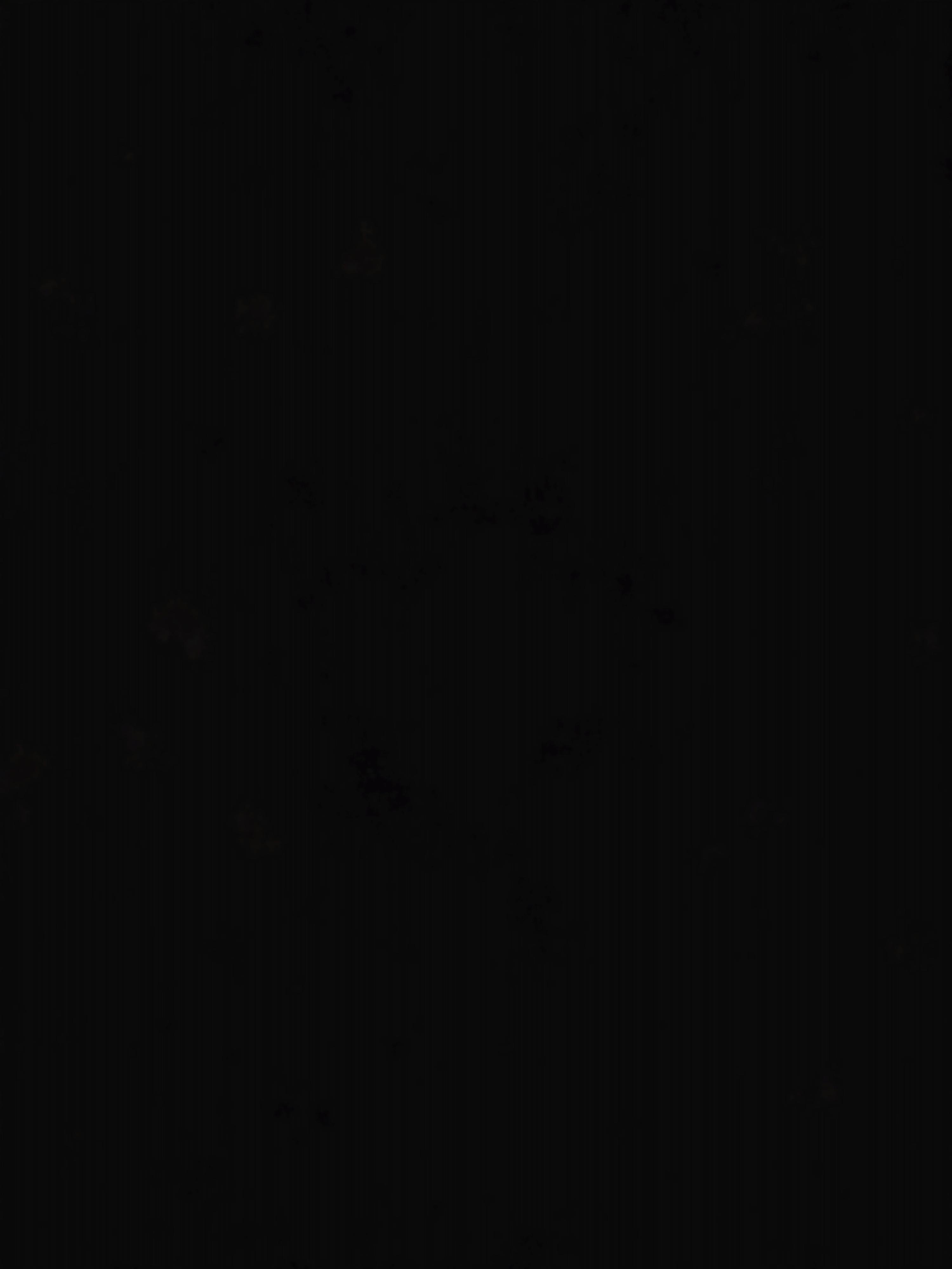 유상진 호스트