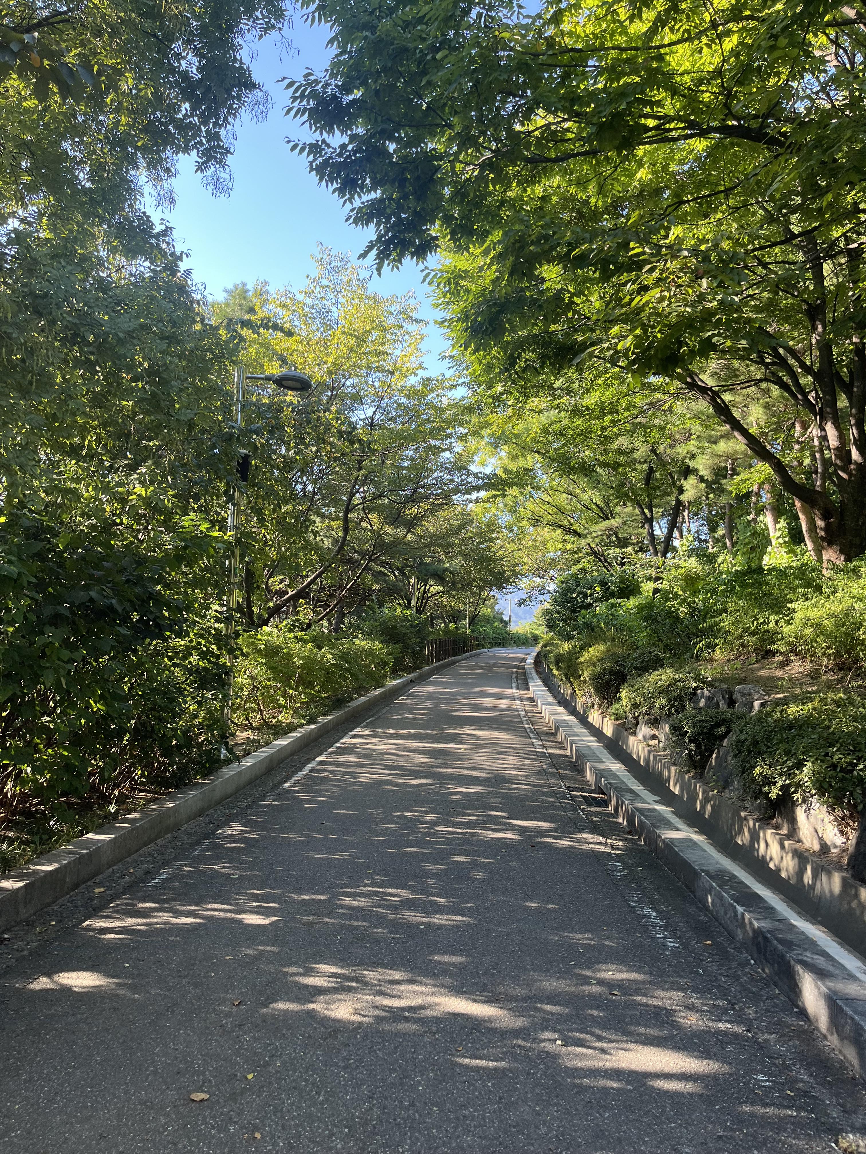 박지숙 호스트