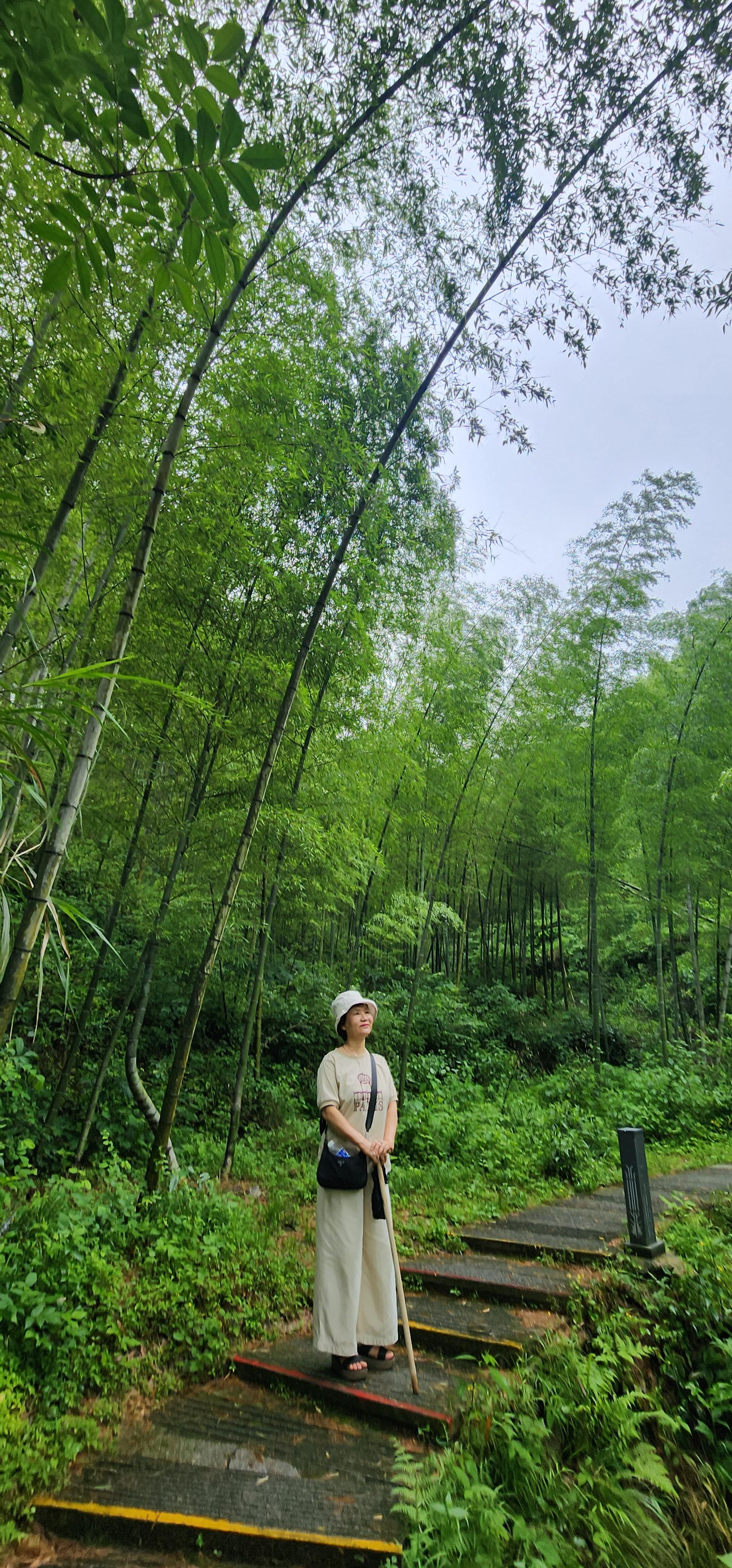 김애란 호스트
