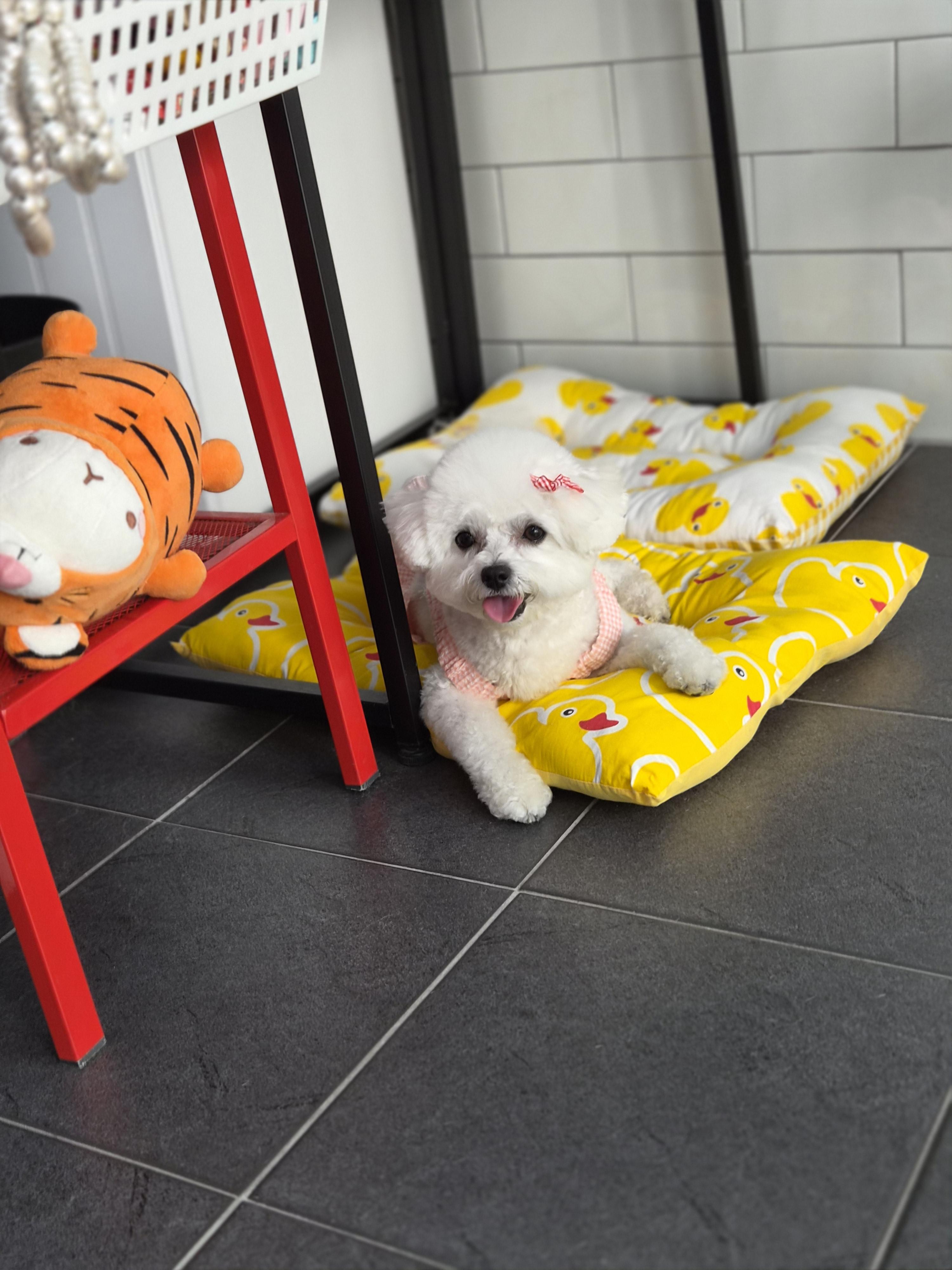 블랑블랑 스테이 호스트