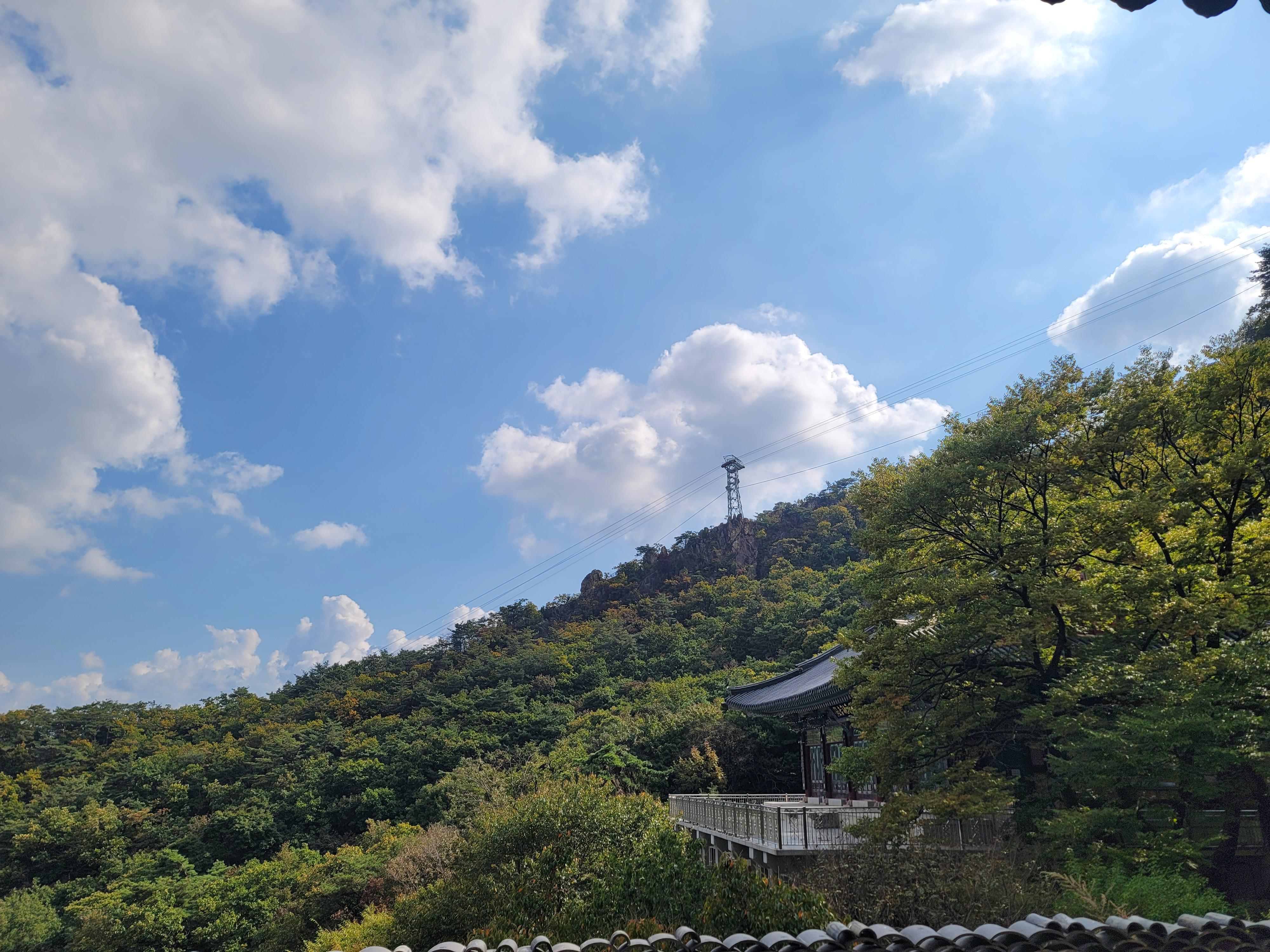 황인경 호스트